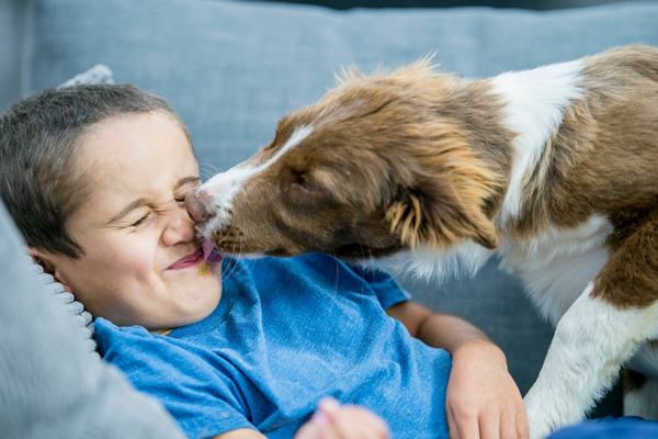 Proč mi pes olizuje tvář?